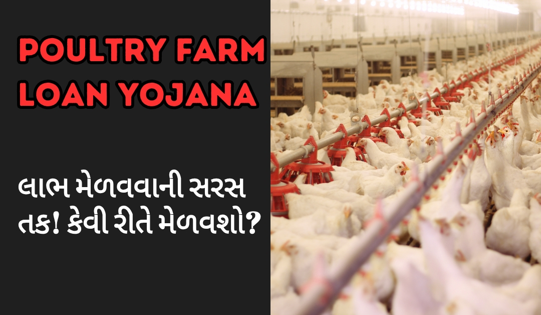 Poultry Farm Loan Yojana